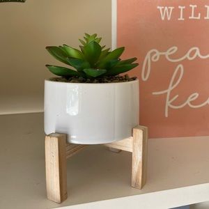 Artificial Succulent Decoration